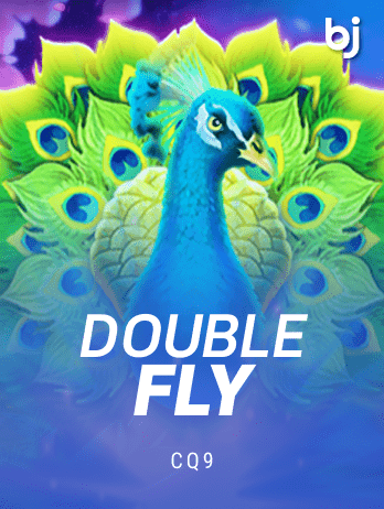 Double Fly game icon