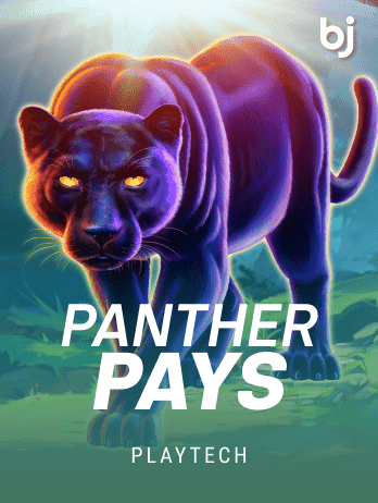Panther Pays game icon
